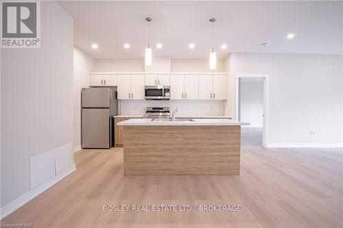 2B - 41 St Davids Road West, Thorold (557 - Thorold Downtown), ON - Indoor Photo Showing Kitchen With Double Sink