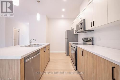 2B - 41 St Davids Road West, Thorold (557 - Thorold Downtown), ON - Indoor Photo Showing Kitchen With Double Sink