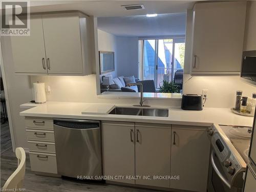 504 - 8111 Forest Glen Drive, Niagara Falls (208 - Mt. Carmel), ON - Indoor Photo Showing Kitchen With Double Sink