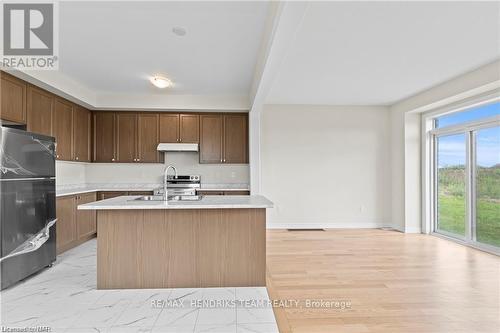 456 Barker Parkway, Thorold (560 - Rolling Meadows), ON - Indoor Photo Showing Kitchen With Double Sink