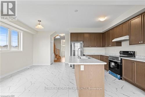 456 Barker Parkway, Thorold (560 - Rolling Meadows), ON - Indoor Photo Showing Kitchen With Double Sink