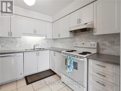 802 - 162 Martindale Road, St. Catharines (453 - Grapeview), ON - Indoor Photo Showing Kitchen With Double Sink