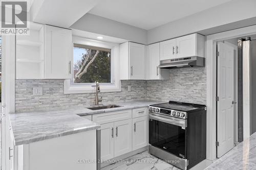 890 Wallace Avenue, Windsor, ON - Indoor Photo Showing Kitchen With Upgraded Kitchen