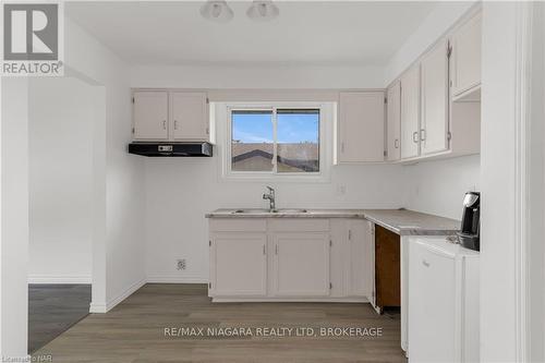 19 Colonial Street, Welland (767 - N. Welland), ON - Indoor Photo Showing Kitchen With Double Sink