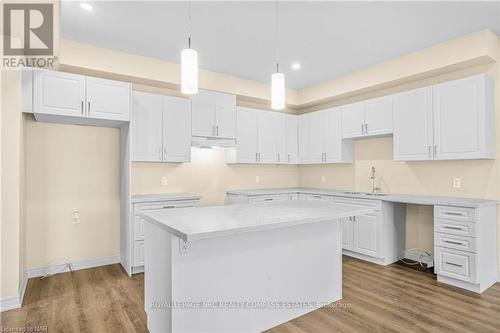 201 Hodgkins Avenue Avenue, Thorold (556 - Allanburg/Thorold South), ON - Indoor Photo Showing Kitchen