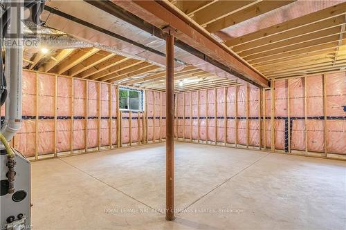 201 Hodgkins Avenue Avenue, Thorold (556 - Allanburg/Thorold South), ON - Indoor Photo Showing Basement