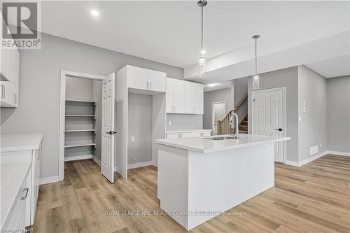 191 Hodgkins Avenue Avenue, Thorold (556 - Allanburg/Thorold South), ON - Indoor Photo Showing Kitchen