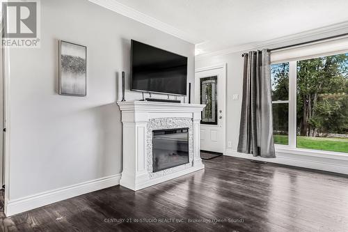 388 Balmy Beach Road, Georgian Bluffs, ON - Indoor Photo Showing Living Room With Fireplace