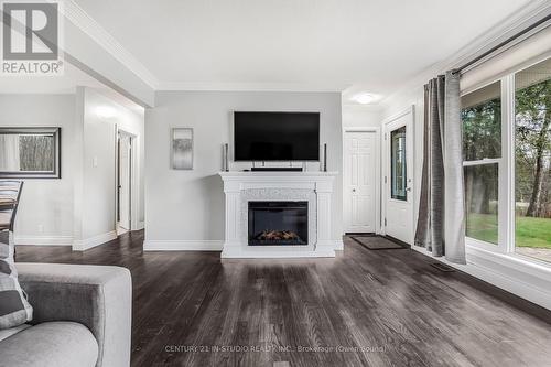 388 Balmy Beach Road, Georgian Bluffs, ON - Indoor Photo Showing Living Room With Fireplace