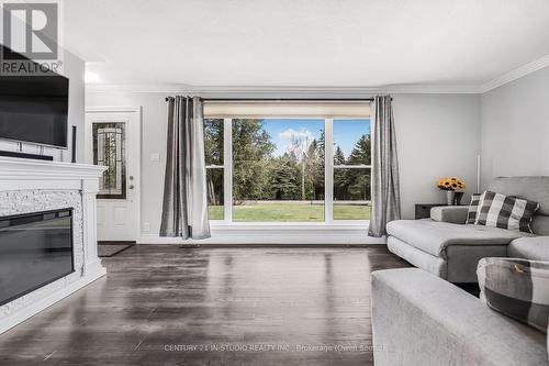 388 Balmy Beach Road, Georgian Bluffs, ON - Indoor Photo Showing Living Room With Fireplace