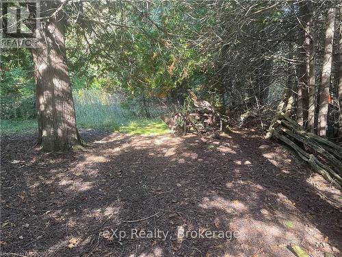 Lot 25 Concession Road 10, West Grey, ON 