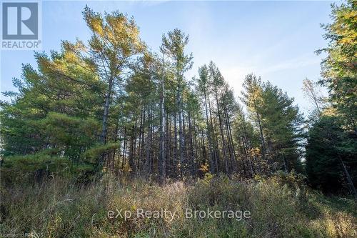 Lot 25 Concession Road 10, West Grey, ON 