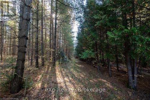 Lot 25 Concession Road 10, West Grey, ON 