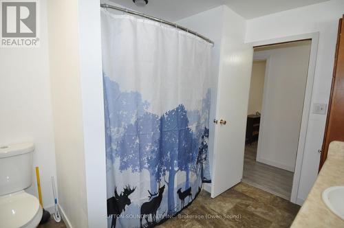 1905 8Th Avenue E, Owen Sound, ON - Indoor Photo Showing Bathroom