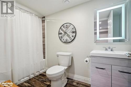 194 Courtland Street, Blue Mountains (Blue Mountain Resort Area), ON - Indoor Photo Showing Bathroom