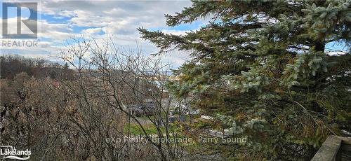 11 Macfarlane Street, Parry Sound, ON - Outdoor With View