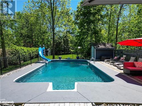 295 Eliza Street, Meaford, ON - Outdoor With In Ground Pool With Backyard