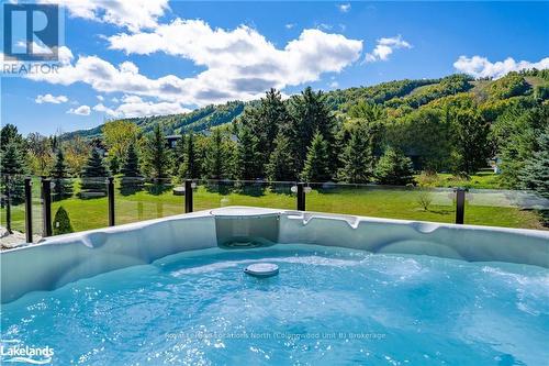 143 Wyandot Court, Blue Mountains (Blue Mountain Resort Area), ON - Outdoor With Above Ground Pool