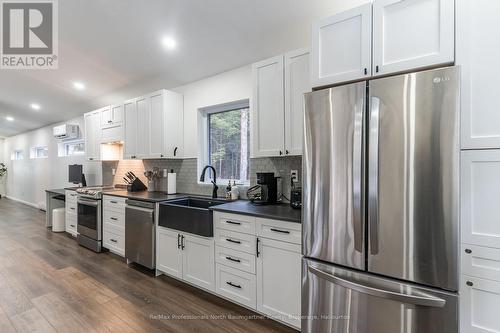 1323 Basshaunt Lake Rd, Dysart Et Al, ON - Indoor Photo Showing Kitchen With Double Sink With Upgraded Kitchen