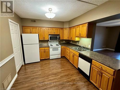 304 - 203 Mcnabb Street, Brockton, ON - Indoor Photo Showing Kitchen With Double Sink