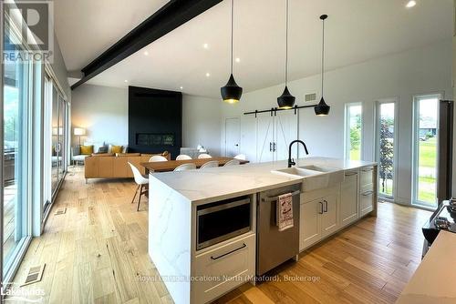 133 Young Drive, Grey Highlands, ON - Indoor Photo Showing Kitchen With Double Sink With Upgraded Kitchen