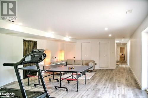 133 Young Drive, Grey Highlands, ON - Indoor Photo Showing Gym Room