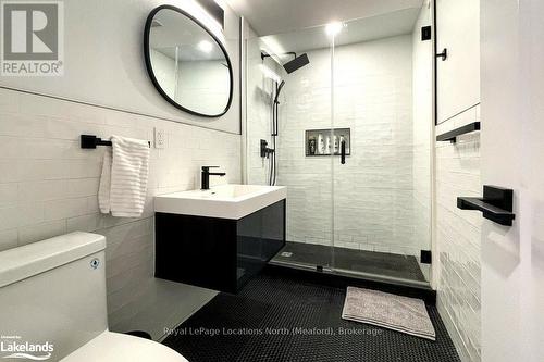 133 Young Drive, Grey Highlands, ON - Indoor Photo Showing Bathroom