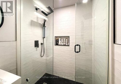 133 Young Drive, Grey Highlands, ON - Indoor Photo Showing Bathroom