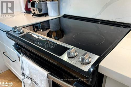 133 Young Drive, Grey Highlands, ON - Indoor Photo Showing Kitchen