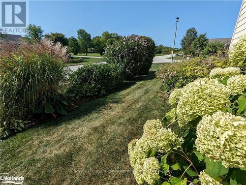 7 Country Crescent, Meaford, ON - Outdoor