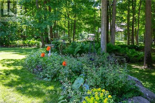 171 Ashgrove Lane, Meaford, ON - Outdoor