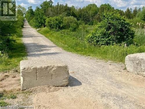 View of road - 683 Robert Ferrie Drive, Kitchener, ON - Outdoor With View