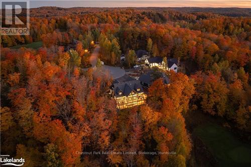 34 St Georges Court, Huntsville (Chaffey), ON - Outdoor With View