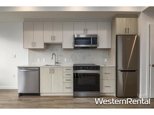 407 13858 108 Avenue, Surrey, BC - Indoor Photo Showing Kitchen With Stainless Steel Kitchen