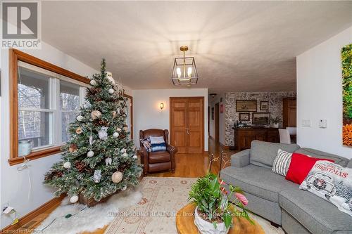 342468 Concession 14, Georgian Bluffs, ON - Indoor Photo Showing Living Room