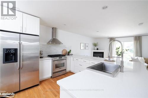 111 Rodney Street, Collingwood, ON - Indoor Photo Showing Kitchen With Stainless Steel Kitchen