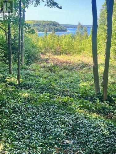 86 Moore Street, Northern Bruce Peninsula, ON - Outdoor With View