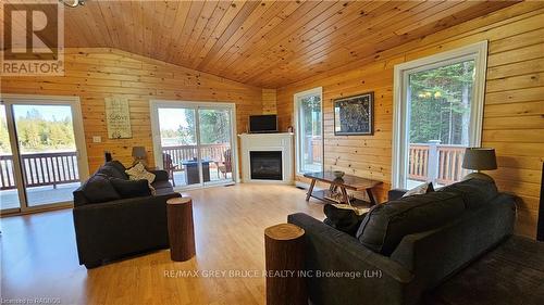 73 Larsen Cove Road, Northern Bruce Peninsula, ON - Indoor Photo Showing Living Room With Fireplace