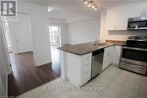 201 - 141 Vansickle Road, St. Catharines (462 - Rykert/Vansickle), ON - Indoor Photo Showing Kitchen With Double Sink