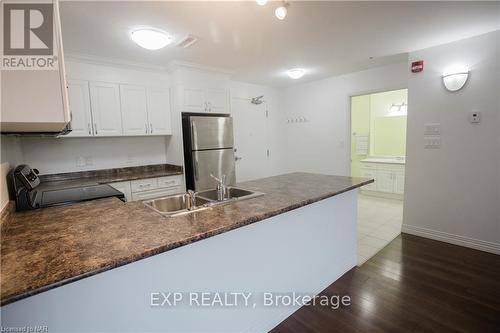 201 - 141 Vansickle Road, St. Catharines (462 - Rykert/Vansickle), ON - Indoor Photo Showing Kitchen With Double Sink