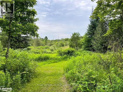 545413 4A Side Road N, Grey Highlands, ON - Outdoor