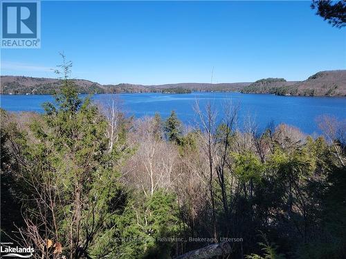 0 Highway 35, Lake Of Bays (Ridout), ON 