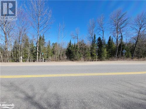 0 Highway 35, Lake Of Bays (Ridout), ON 