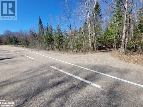 0 Highway 35, Lake Of Bays (Ridout), ON 