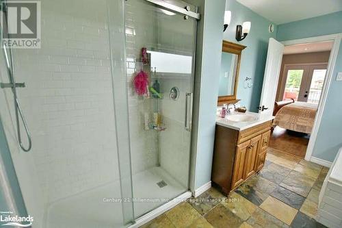 117 Stanley Street, Collingwood, ON - Indoor Photo Showing Bathroom