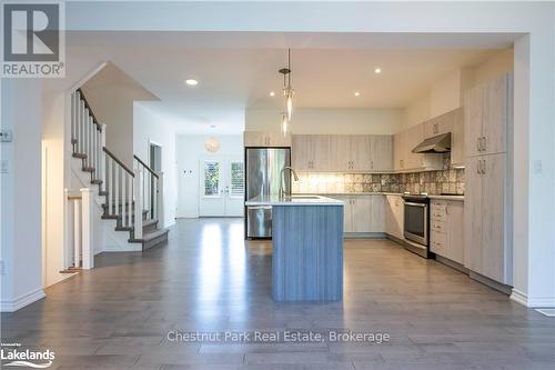 123 Conservation Way, Collingwood, ON - Indoor Photo Showing Kitchen With Upgraded Kitchen