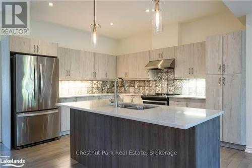 123 Conservation Way, Collingwood, ON - Indoor Photo Showing Kitchen With Double Sink With Upgraded Kitchen