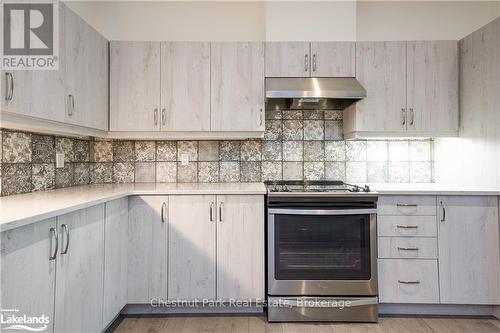 123 Conservation Way, Collingwood, ON - Indoor Photo Showing Kitchen With Upgraded Kitchen