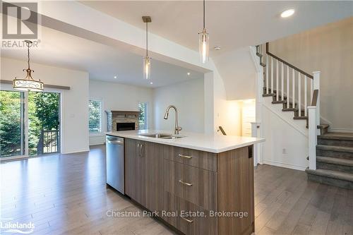 123 Conservation Way, Collingwood, ON - Indoor Photo Showing Kitchen With Double Sink