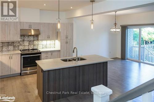 123 Conservation Way, Collingwood, ON - Indoor Photo Showing Kitchen With Double Sink With Upgraded Kitchen